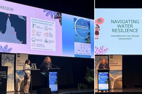 A collage image of a woman with curly hair standing on stand at a podium in front of a presentation screen