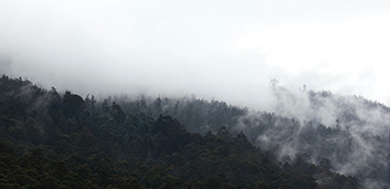 Tasmania slowed logging and became one of first carbon negative places in the world