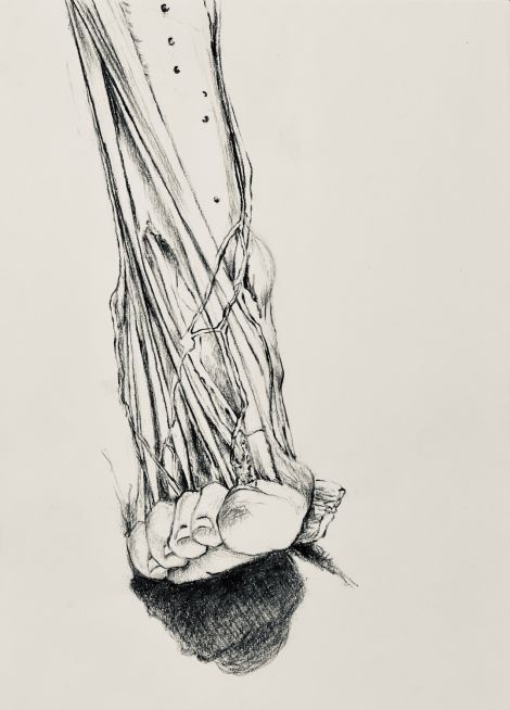 Sonya G Peters, Muscles of the Foot, Charcoal on paper, 2019, 19x25cm