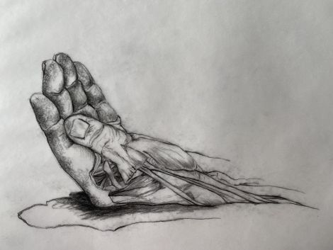 Sonya G Peters, Muscles of the Hand, Charcoal on mylar, 2019, 19 x 25cm