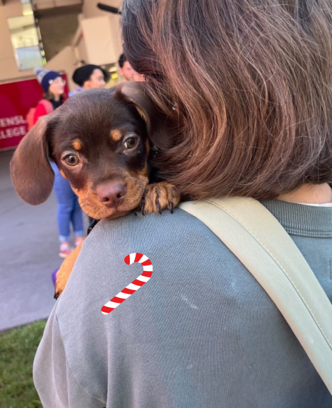 Student cuddling a puppy