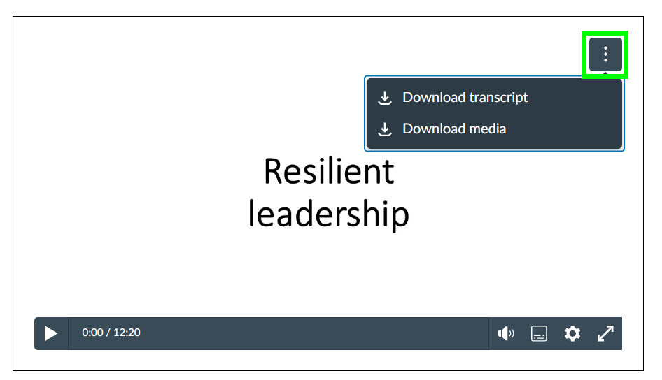 Screenshot of Studio video shows the menu via the “3 dots” (More) button, including options to Download transcript, and Download media.