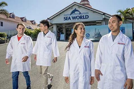  Four students wearing lab coats