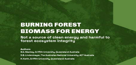 Burning Forest Biomass for Energy