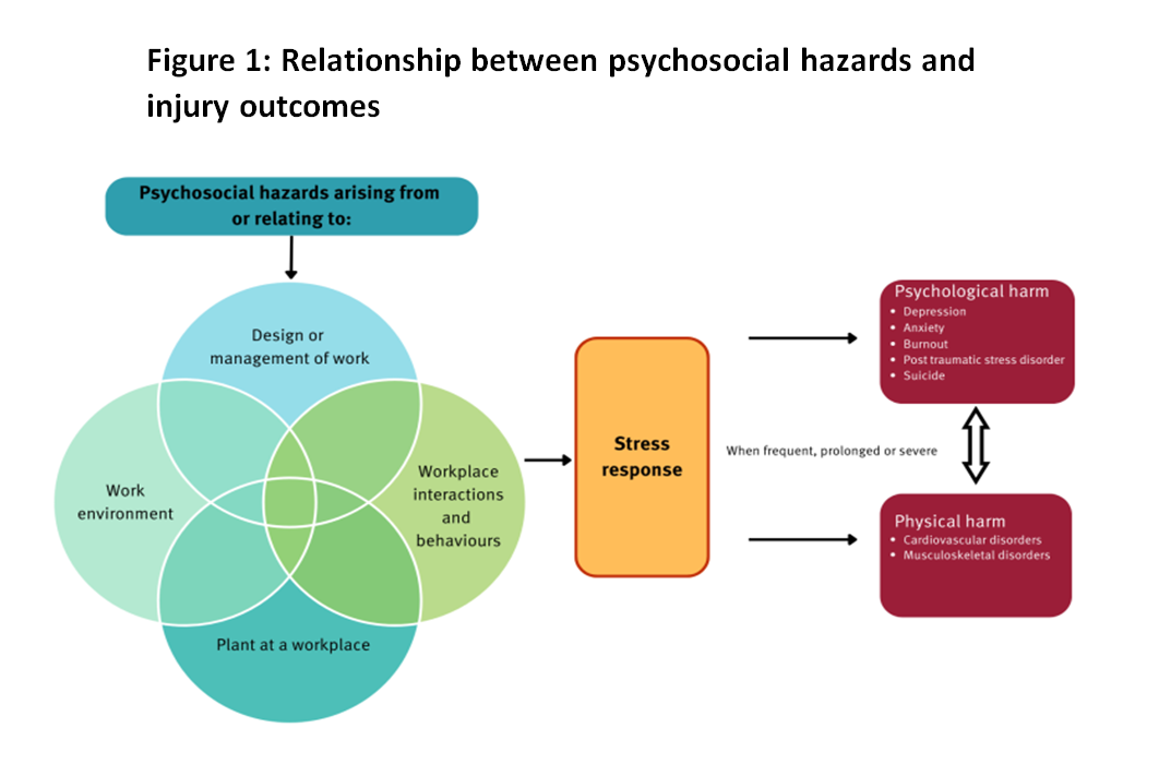 Psychosocial Risk