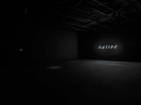 r e a: NATIVE at Griffith University Art Museum