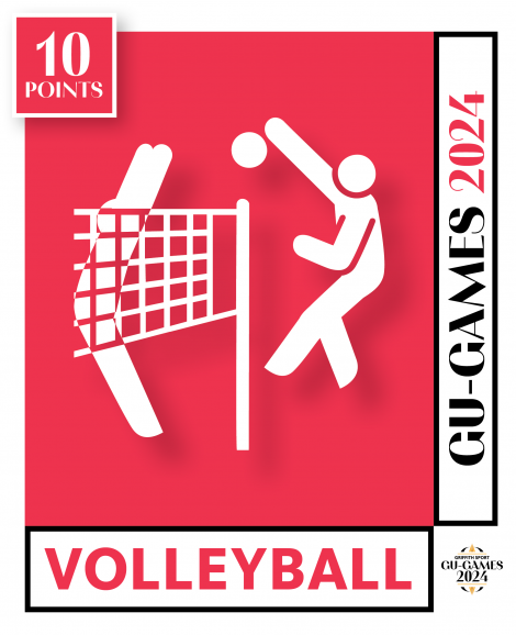 Volleyball Image