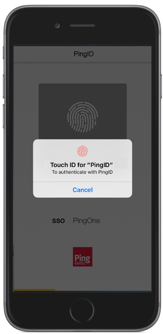 iOS fingerprint notification