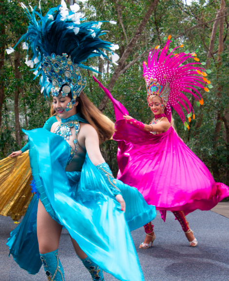 Brazilian Dance Performance