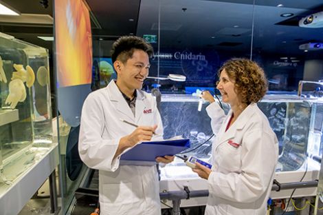 male and female researching jelly fish